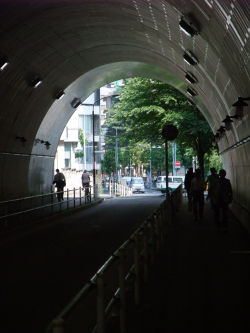 愛宕山のトンネル